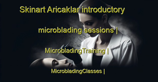 Skinart Aricaklar introductory microblading sessions | MicrobladingTraining | MicrobladingClasses | SkinartTraining-Turkey